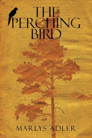 Cover of the book The Perching Bird by Sarah D’spain, Howard D’spain