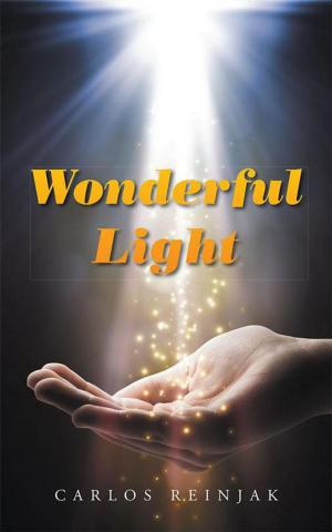 Cover of the book Wonderful Light by Anthony Peters