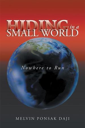 Book cover of Hiding in a Small World - Nowhere to Run