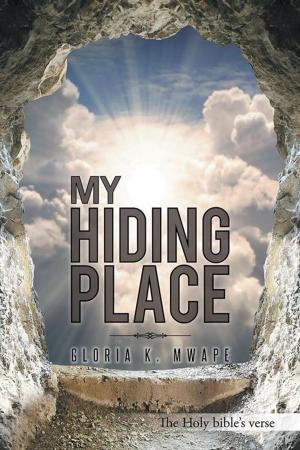 Cover of the book My Hiding Place by Adlin Joe G.M