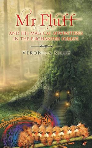Cover of the book Mr Fluff and His Magical Adventures in the Enchanted Forest. by Melissa Mathis