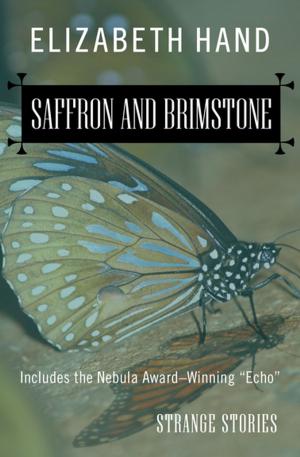 Cover of the book Saffron and Brimstone by Liz Williams