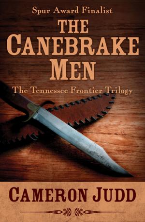 Cover of the book The Canebrake Men by Erik Brodin