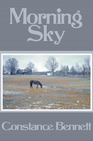 Cover of the book Morning Sky by Charles Williams