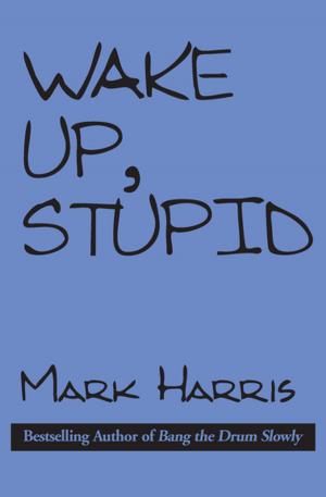 Book cover of Wake Up, Stupid