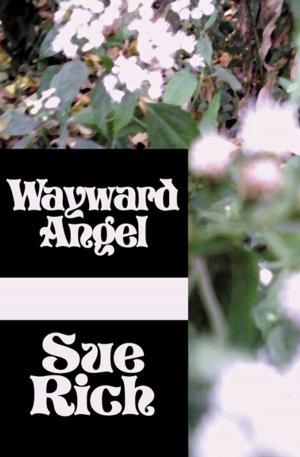 Cover of the book Wayward Angel by Don Pendleton