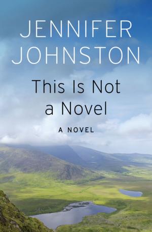 Cover of the book This Is Not a Novel by Jonathon King