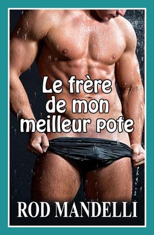 Cover of the book Le frère de mon meilleur pote by A. M. Huff