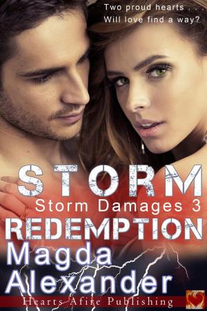 Cover of the book Storm Redemption by Brian David Floyd