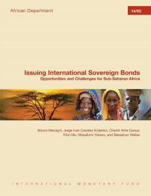 Book cover of Issuing International Sovereign Bonds: Opportunities and Challenges for Sub-Saharan Africa