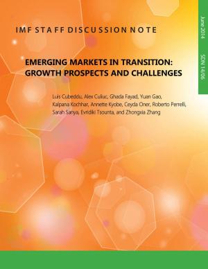 Cover of the book Emerging Markets in Transition: Growth Prospects and Challenges by Wilfried Guth