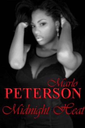 Cover of the book Midnight Heat by Marlo Peterson
