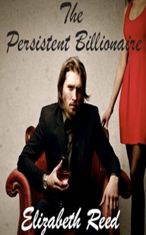 Cover of the book The Persistent Billionaire by David Perlmutter