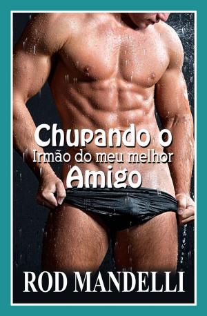 Cover of the book Chupando o Irmão do meu melhor Amigo by Aidan Stone