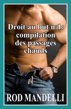 Cover of the book Droit au but n°1 : compilation des passages intéressants by Rod Mandelli