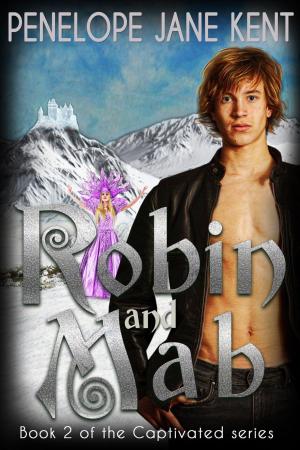 bigCover of the book Robin and Mab by 