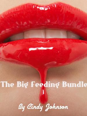 bigCover of the book The Big Feeding Bundle by 