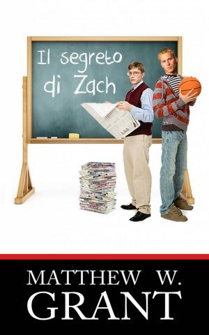 Cover of the book Il segreto di Zach by Patrick Schmidt