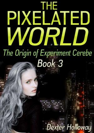 Cover of The Pixelated World