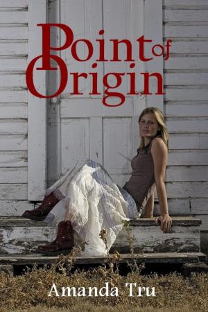 Cover of the book Point of Origin by Kristine Allen