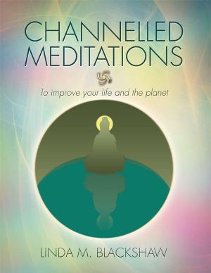 Cover of the book Channelled Meditations by George Kriflik