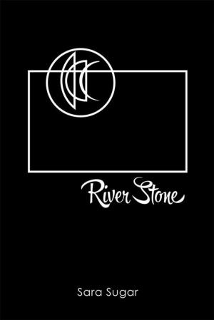 Cover of the book River Stone by Luke Bleckly