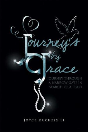 Cover of the book Journey's by Grace by Bernard Botes Kruger