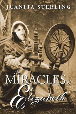 Cover of the book The Miracles of Elizabeth by Lone Jensen