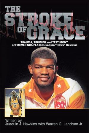 Cover of the book The Stroke of Grace by Clyde R. Forsberg Jr.