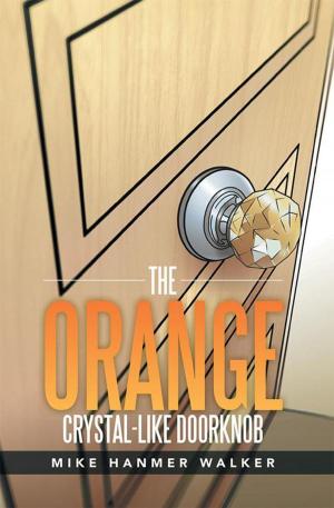 Cover of the book The Orange Crystal-Like Doorknob by Dave Smeltzer