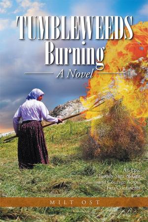 Cover of the book Tumbleweeds Burning a Novel by Beverly James