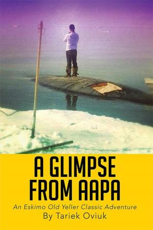 Cover of the book A Glimpse from Aapa by Christine Dorothy