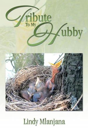 Cover of the book Tribute to My Hubby by 