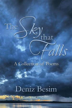 Cover of the book The Sky That Falls by Jakes Erasmus