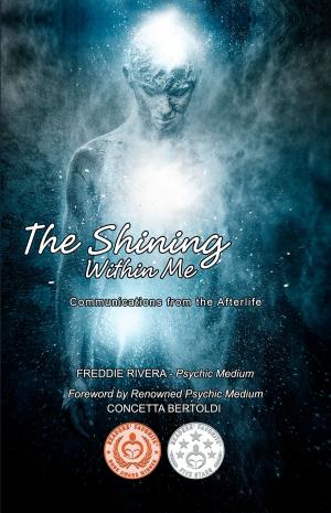 Cover of the book The Shining Within Me: Communications from the Afterlife by Jérémy Distatte