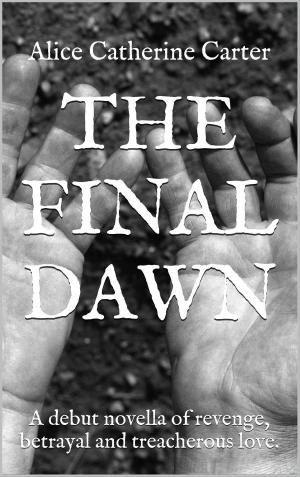 Cover of the book The Final Dawn by Jenifer Jennings