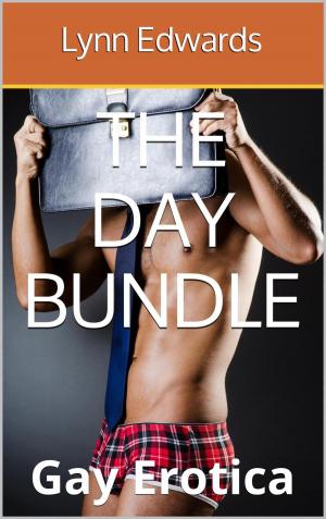 Cover of the book The Day Bundle: Gay Erotica by Josephine De Marco
