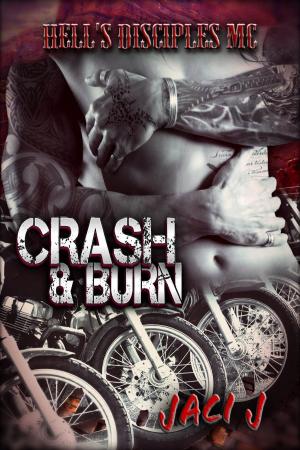 Cover of the book Crash & Burn by Jaci J