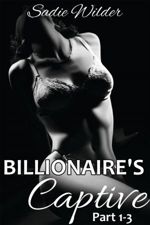 Cover of the book Billionaire's Captive, Part 1-3 (Dark Erotica) by D.T. Dyllin
