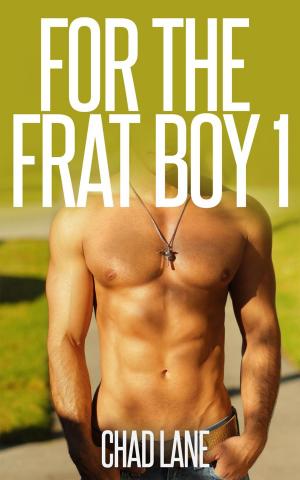 Book cover of For The Frat Boy 1