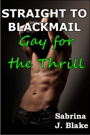 Cover of the book Gay for the Thrill by Angela Minx