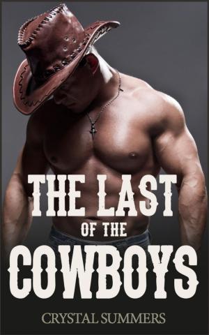 Cover of the book The Last of the Cowboys (Gay Cowboys Erotic Romance) by Maxine Sullivan
