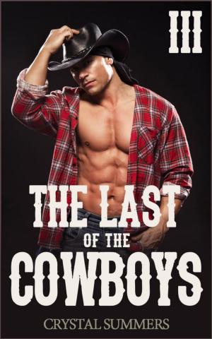 Cover of the book The Last of the Cowboys - III (Gay Cowboys Erotic Romance) by Andi Marquette