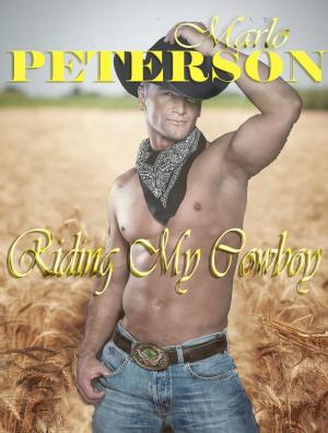 Cover of the book Riding My Cowboy by Lucia Ventura