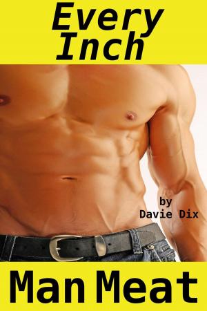 Cover of the book Every Inch, Man Meat (Gay Erotica) by Davie Dix