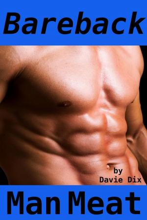 Cover of the book Bareback, Man Meat (Gay Erotica) by Danielle Leigh