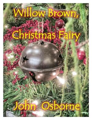 Book cover of Willow Brown, Christmas Fairy
