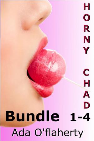 Cover of the book Horny Chad BUNDLE 1 - 4 by Freya Barker