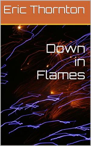 Book cover of Down in Flames