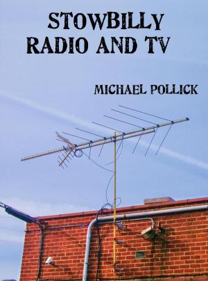 Cover of the book Stowbilly Radio and TV by Robert C. Foster III